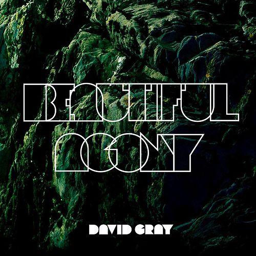DAVID GRAY - Beautiful Agony