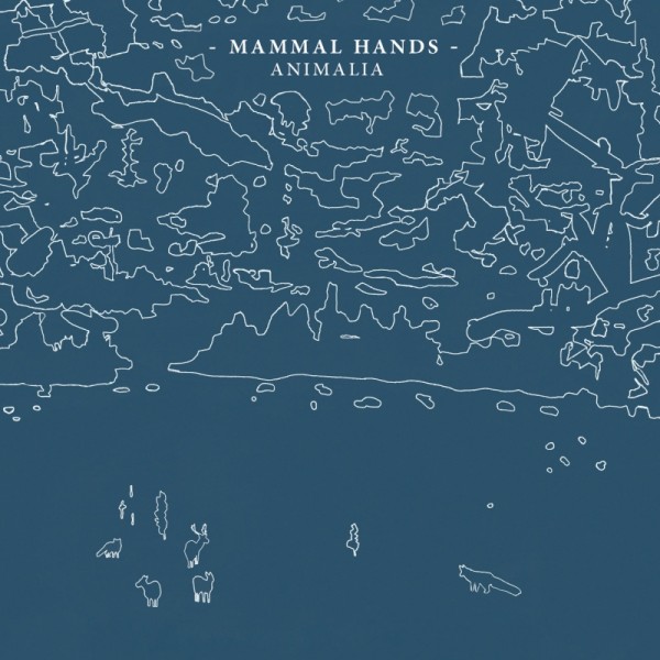MAMMAL HANDS - Animalia